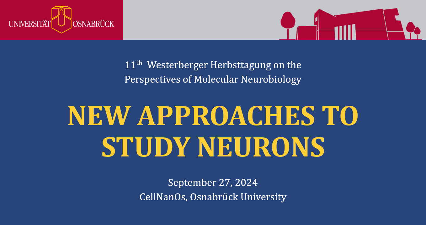 The university logo can be seen at the top left and the biology logo at the top right. The words ‘New approaches to study neurons’ are written in yellow on a blue background.