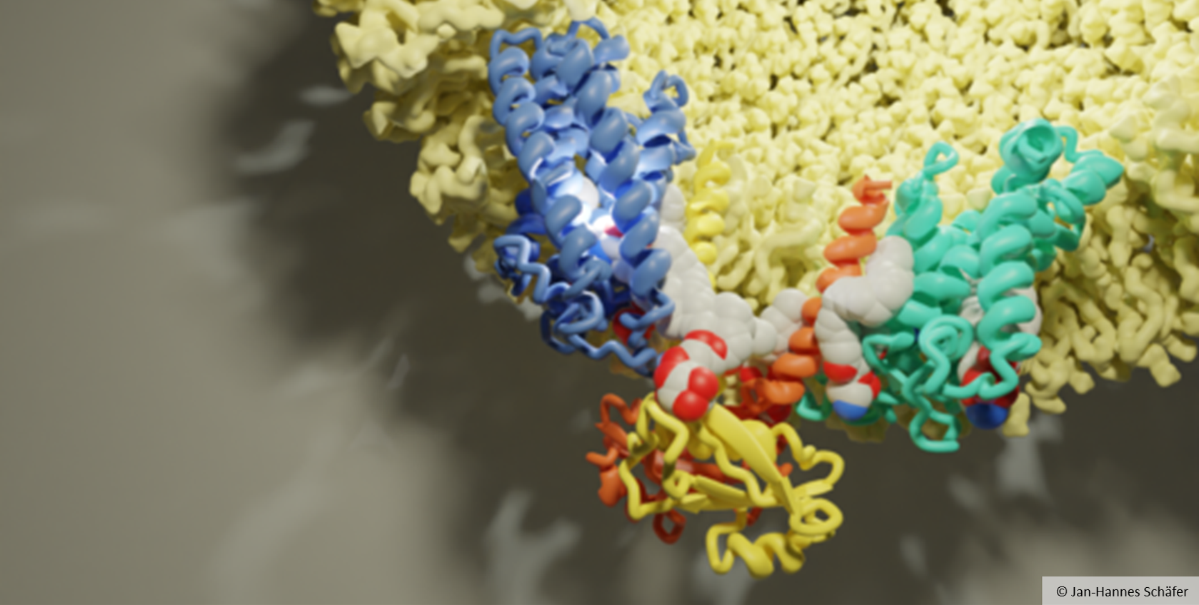 Three-dimensional representation of a molecular structure. 