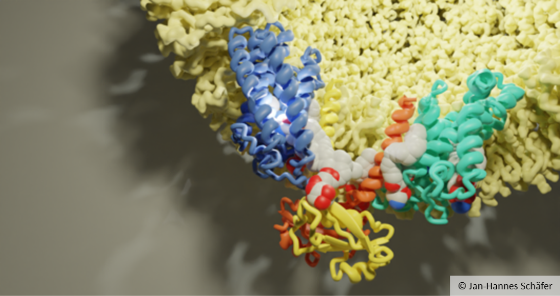 Three-dimensional representation of a molecular structure. 