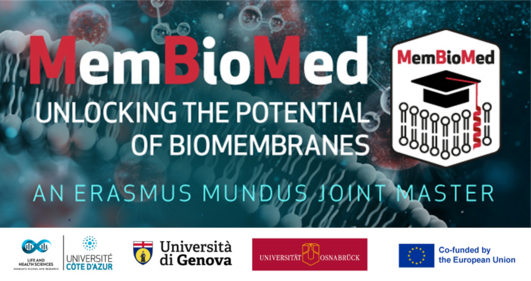 The logo of the MemBioMed degree programme can be seen in front of the graphic of a cell membrane, as well as the words ‘Unlocking the potential of biomembranes: An Erasmus Mundus joint master’. The logos of the universities in Nice, Genoa and Osnabrück and the EU flag with the words ‘Co-funded by the European Union’ can be seen below the graphic.