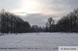 Castle grounds covered in snow